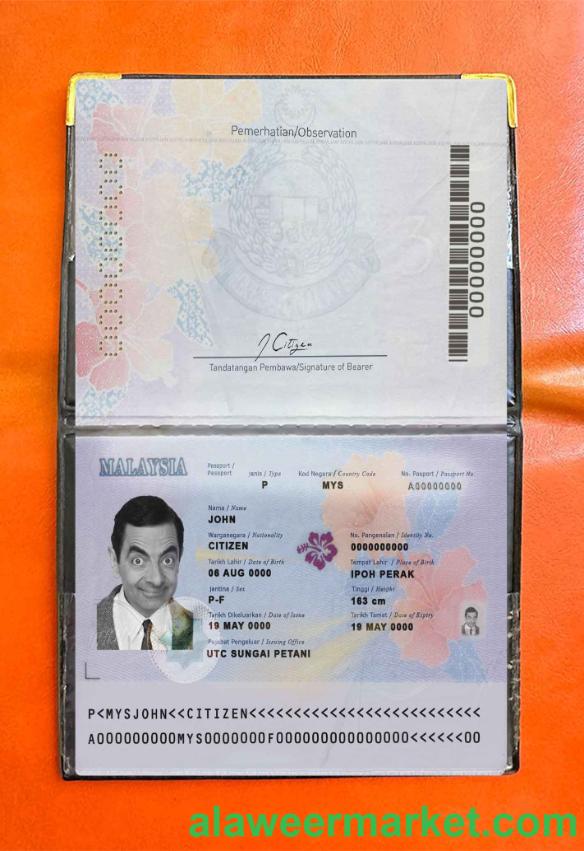 Malaysia passport (2017-present) photo look